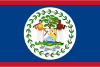 The flag of Belize