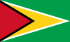 The flag of Guyana