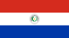 The flag of Paraguay