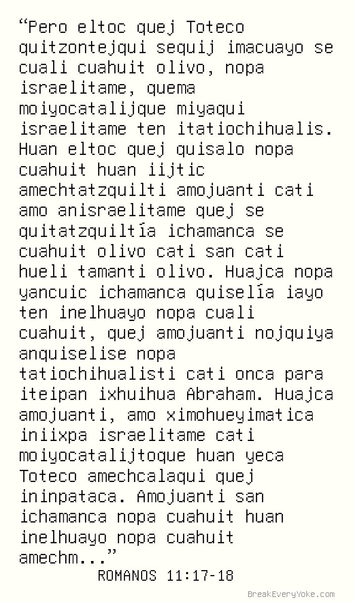 romanos 11 17 18 explicação